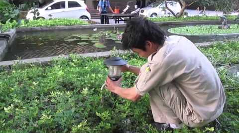 Hướng dẫn bảo dưỡng hệ thống đèn sân vườn